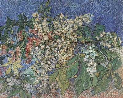 Vincent Van Gogh Blossoming Chestnut Branches (nn04) Germany oil painting art